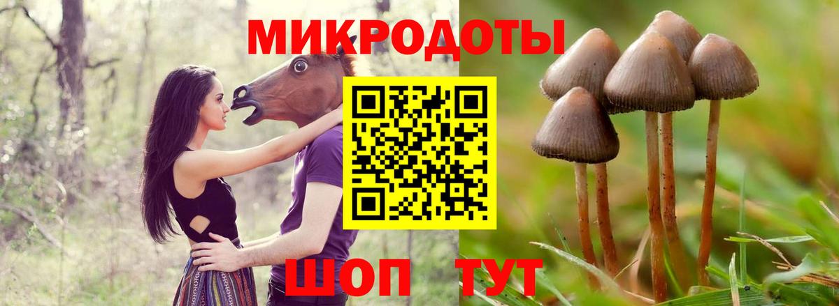 Галлюциногенные грибы мицелий  Вход с VPN  Звенигород 